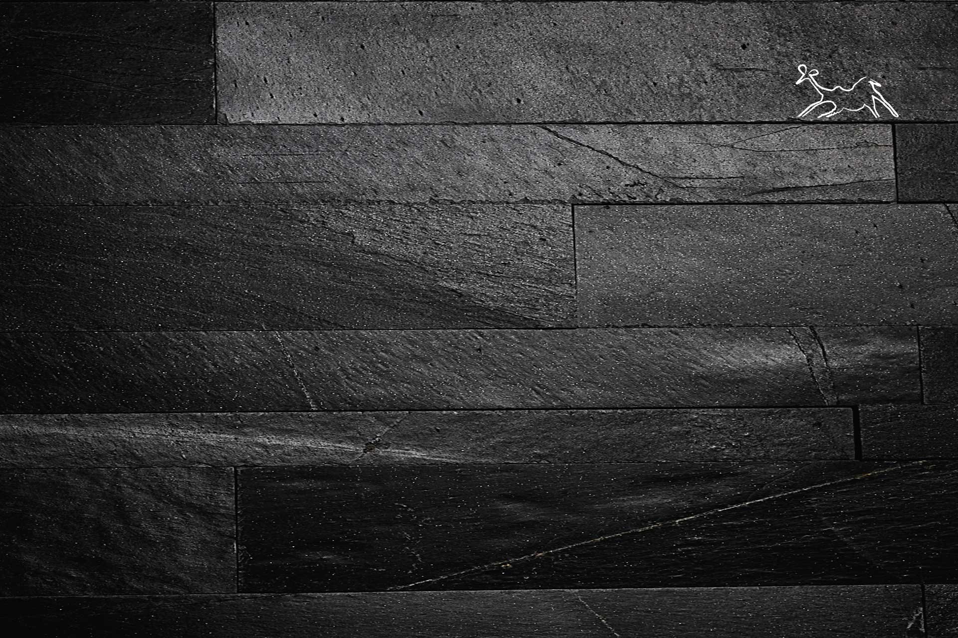 texture rivestimento in ardesia nera pietra naturale