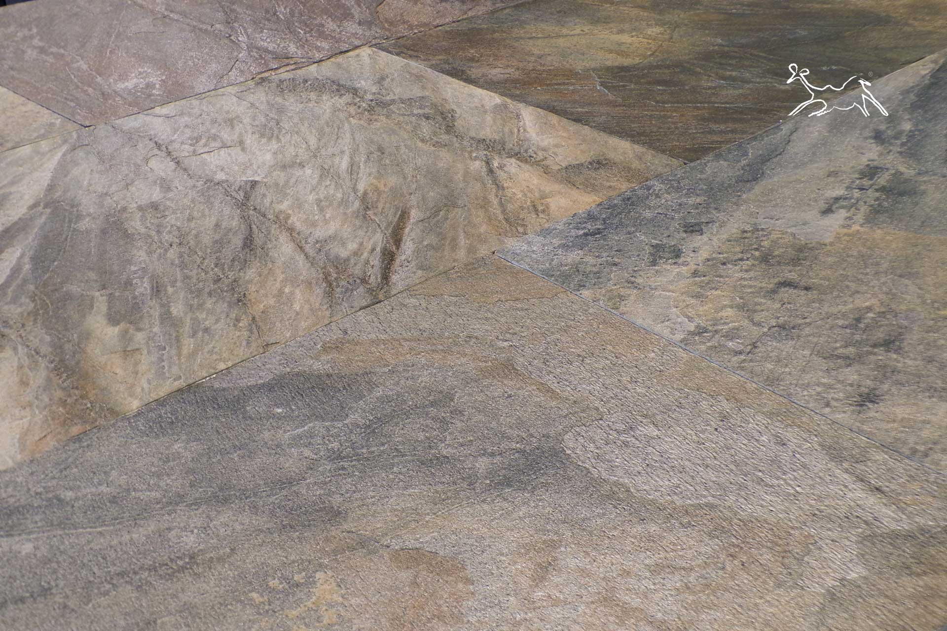 Dettaglio della superficie di quarzite naturale con venature materiche, ideale per pavimentazioni esterne di pregio.